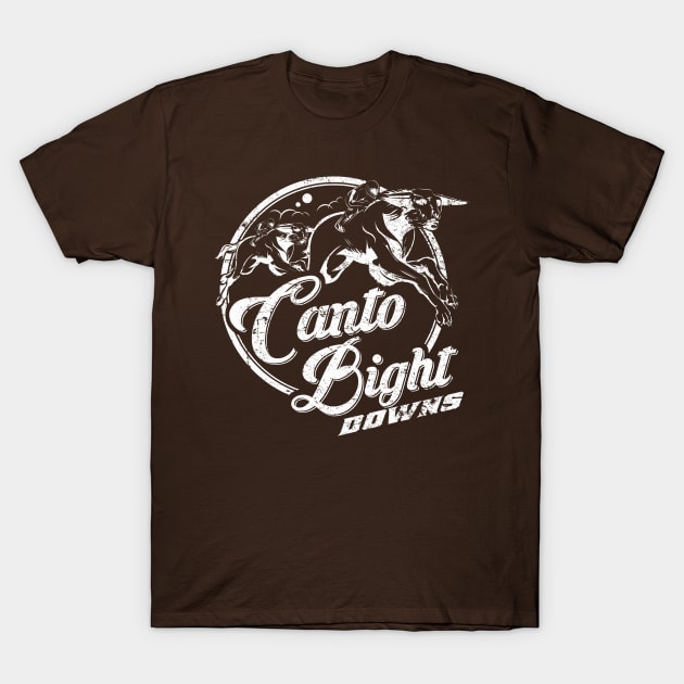 Canto Bight Downs T-Shirt by MindsparkCreative